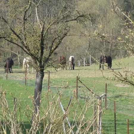 Charming In A Farm With Views, Cleaning Included