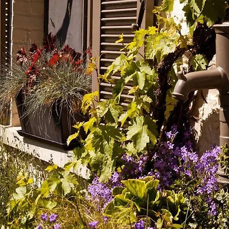 Charming In A Farm With Views, Cleaning Included